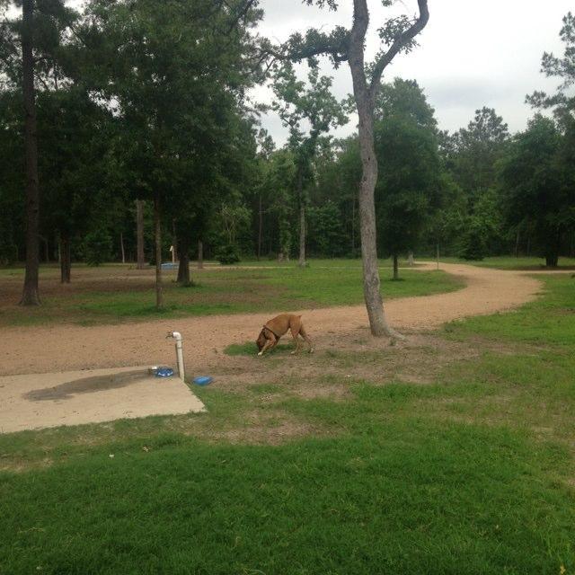 Pundt Park Photos Dog The Love